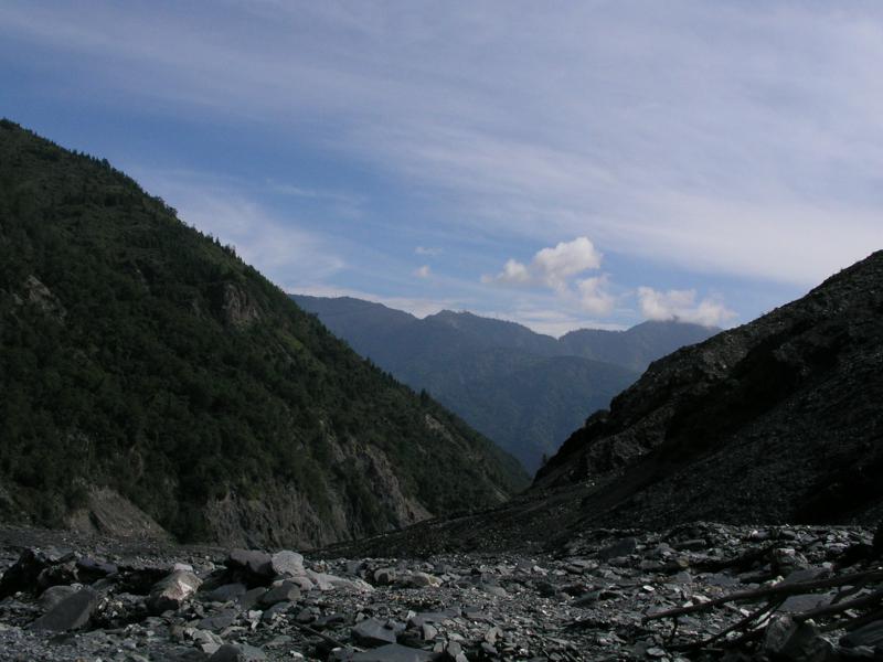 OLYMPUS DIGITAL CAMERA         