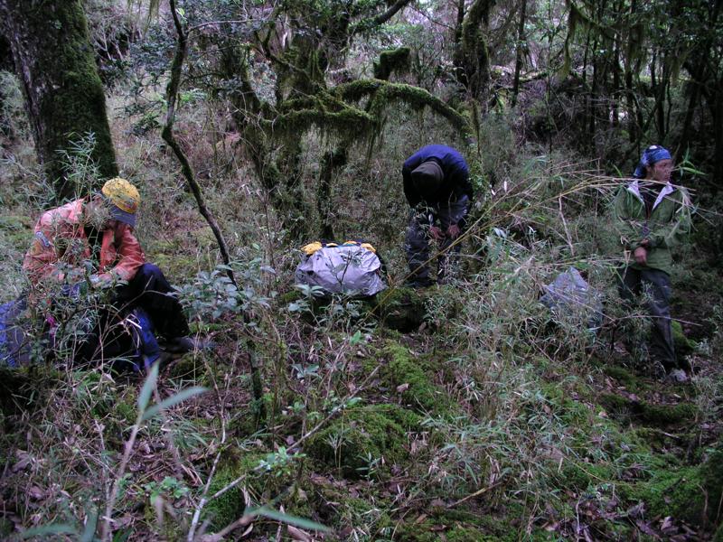 OLYMPUS DIGITAL CAMERA         