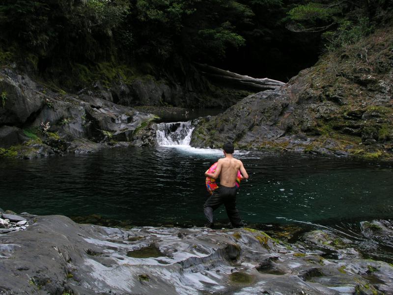 OLYMPUS DIGITAL CAMERA         