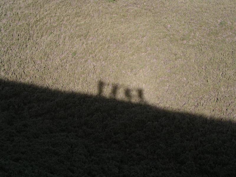 OLYMPUS DIGITAL CAMERA         