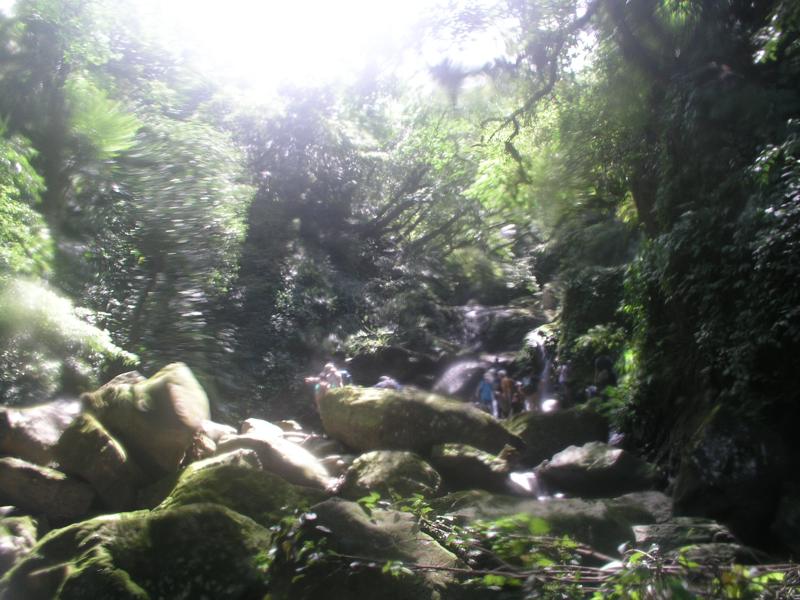 OLYMPUS DIGITAL CAMERA         