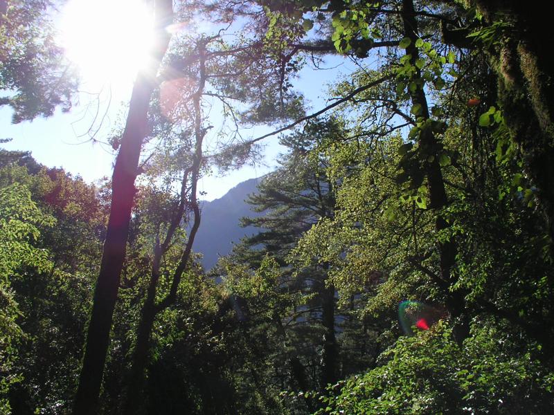 OLYMPUS DIGITAL CAMERA         