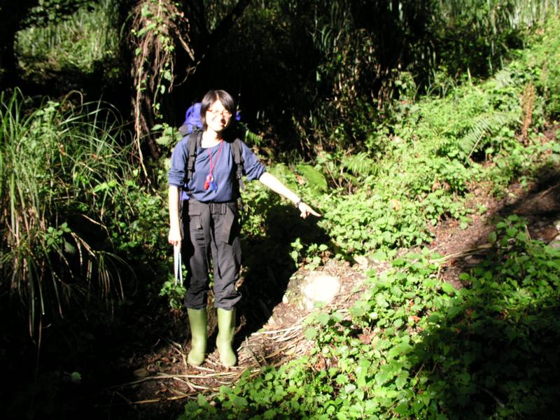 OLYMPUS DIGITAL CAMERA         