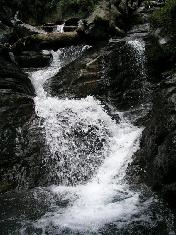 OLYMPUS DIGITAL CAMERA         