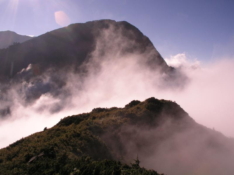 OLYMPUS DIGITAL CAMERA         