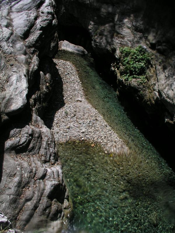 OLYMPUS DIGITAL CAMERA         