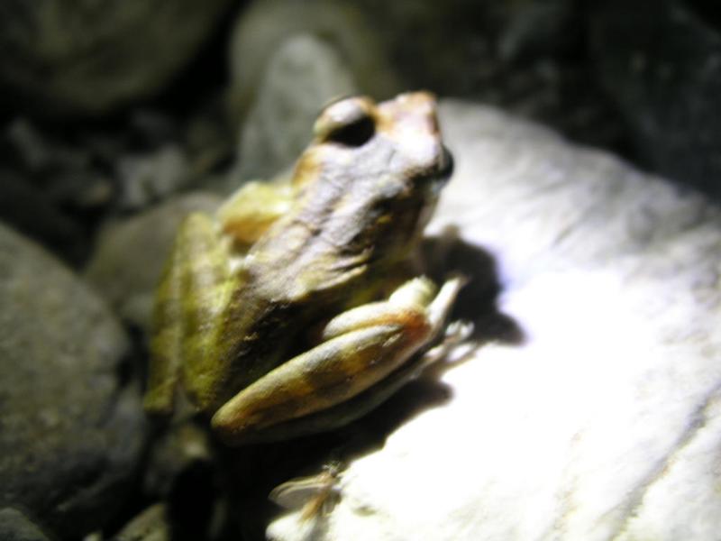 OLYMPUS DIGITAL CAMERA         