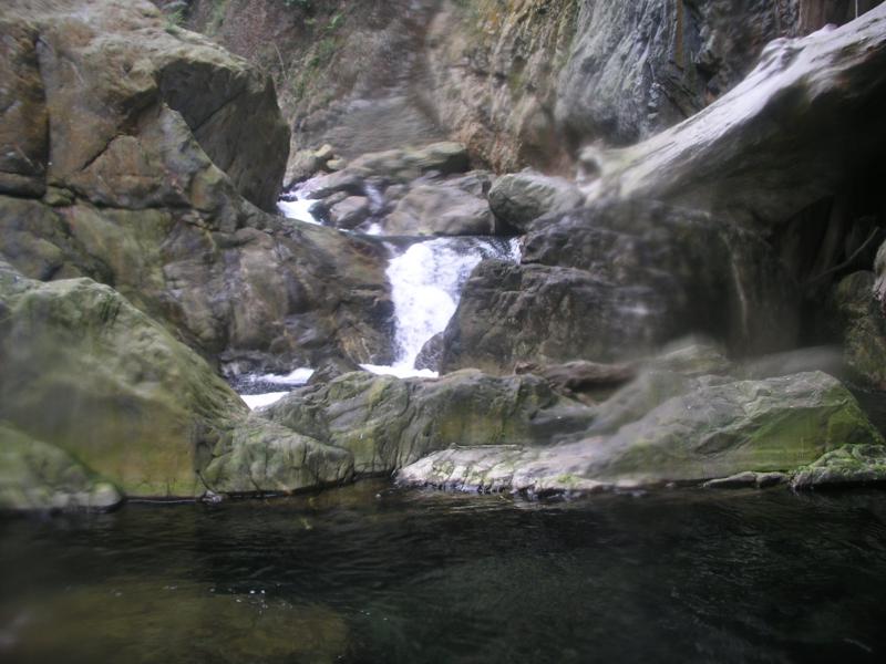 OLYMPUS DIGITAL CAMERA         