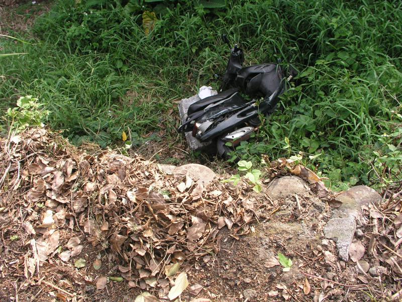 OLYMPUS DIGITAL CAMERA         