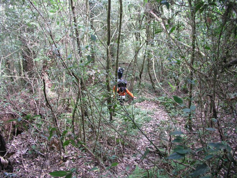 OLYMPUS DIGITAL CAMERA         