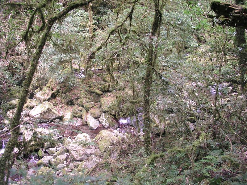 OLYMPUS DIGITAL CAMERA         