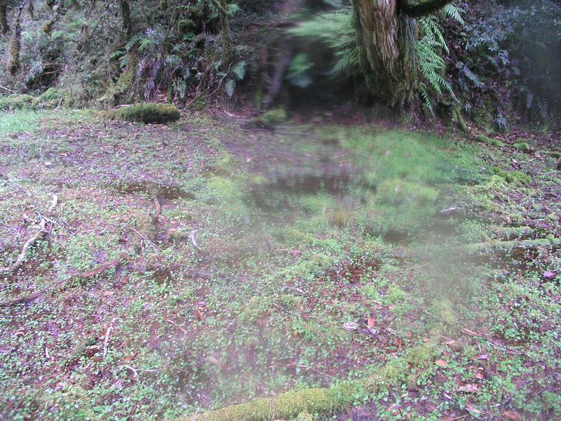 OLYMPUS DIGITAL CAMERA         