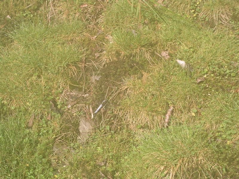 OLYMPUS DIGITAL CAMERA         