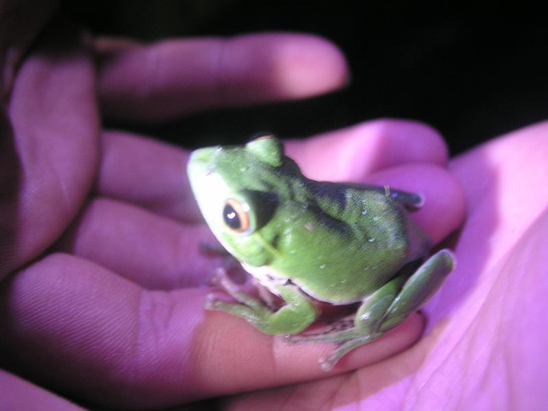 OLYMPUS DIGITAL CAMERA         