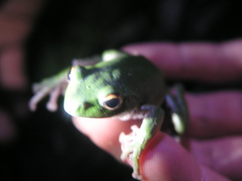 OLYMPUS DIGITAL CAMERA         