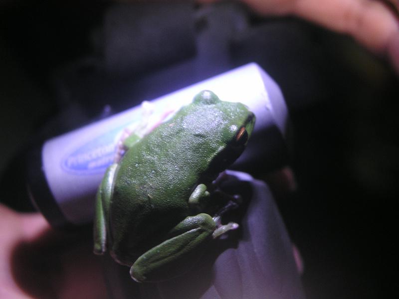 OLYMPUS DIGITAL CAMERA         