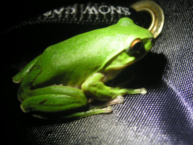 OLYMPUS DIGITAL CAMERA         