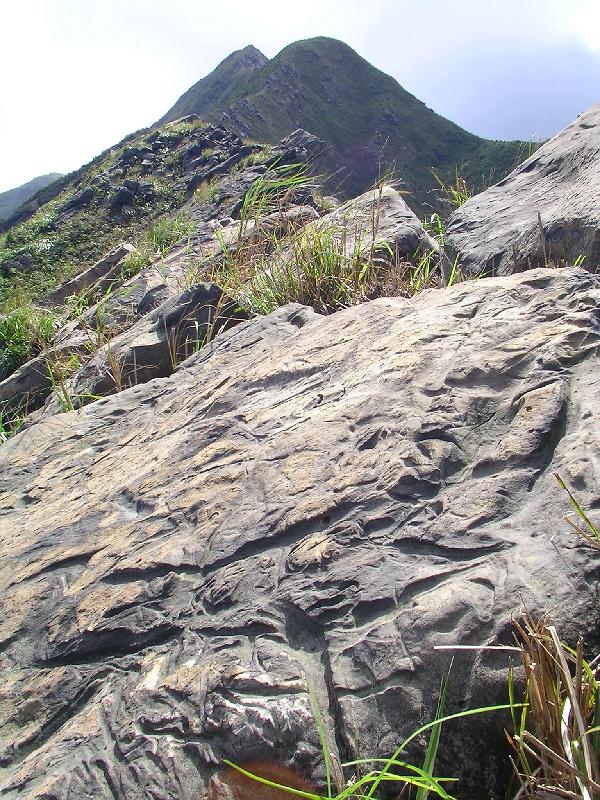 SANYO DIGITAL CAMERA