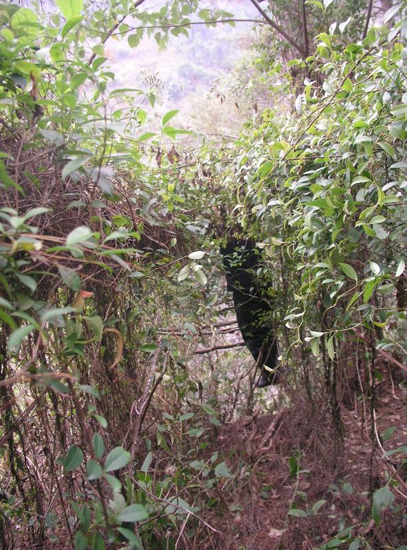 OLYMPUS DIGITAL CAMERA         