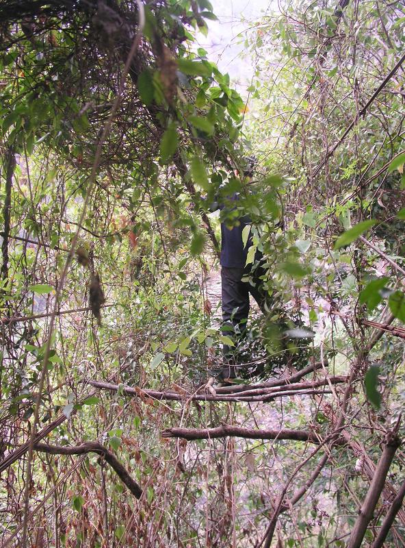 OLYMPUS DIGITAL CAMERA         