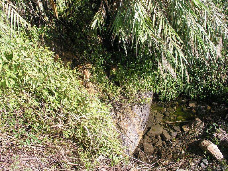 OLYMPUS DIGITAL CAMERA         