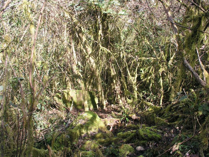 OLYMPUS DIGITAL CAMERA         