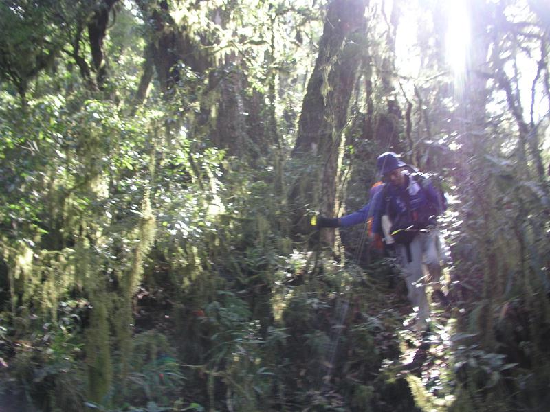 OLYMPUS DIGITAL CAMERA         