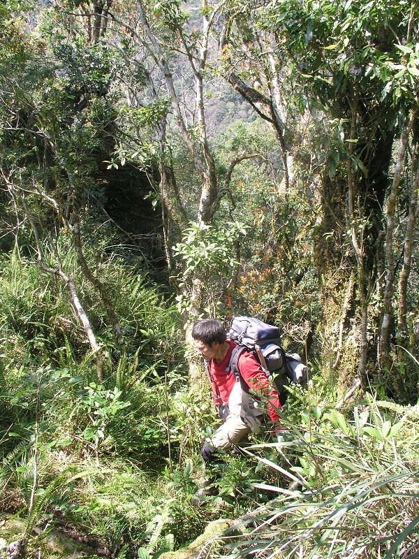 OLYMPUS DIGITAL CAMERA         