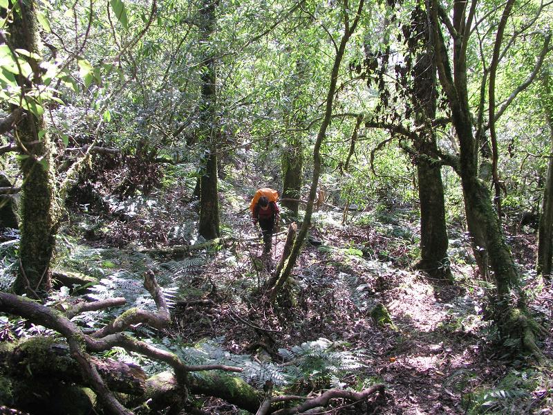 OLYMPUS DIGITAL CAMERA         