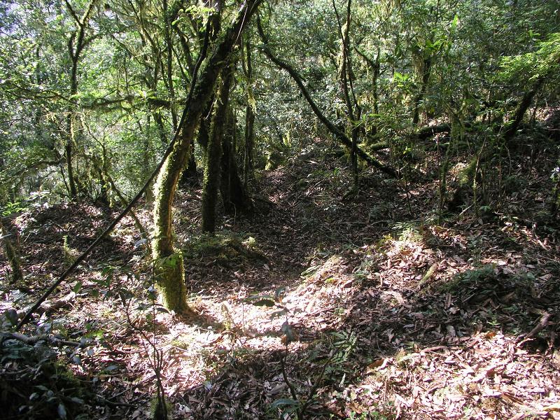 OLYMPUS DIGITAL CAMERA         