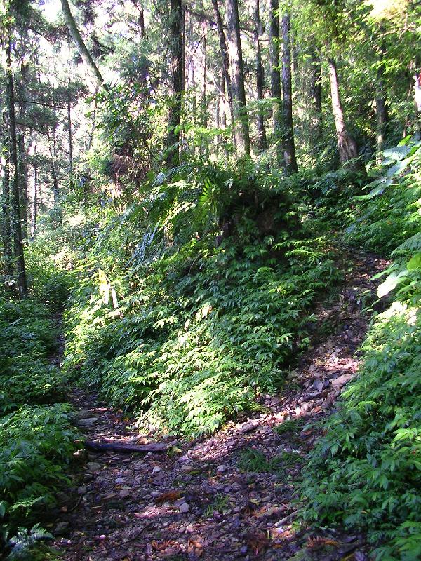 SANYO DIGITAL CAMERA