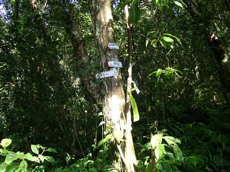 SANYO DIGITAL CAMERA