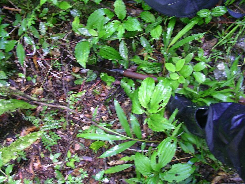 SANYO DIGITAL CAMERA