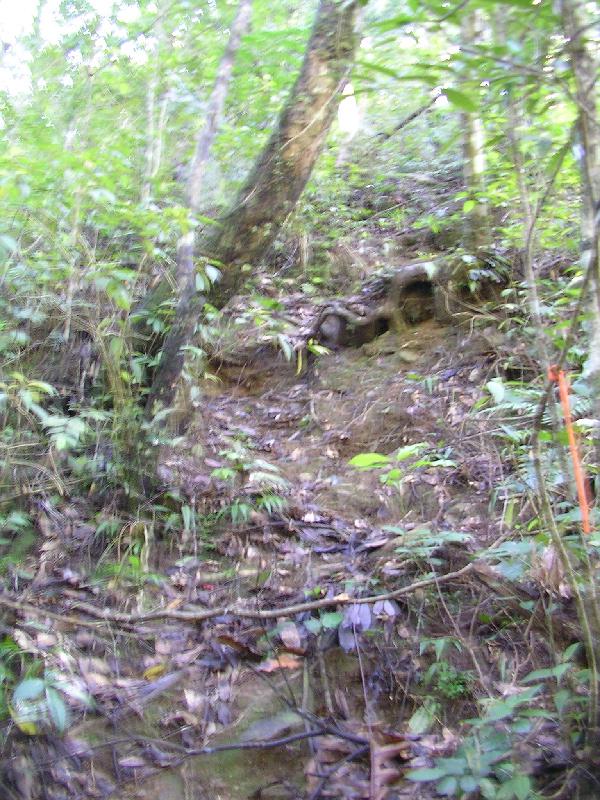 SANYO DIGITAL CAMERA