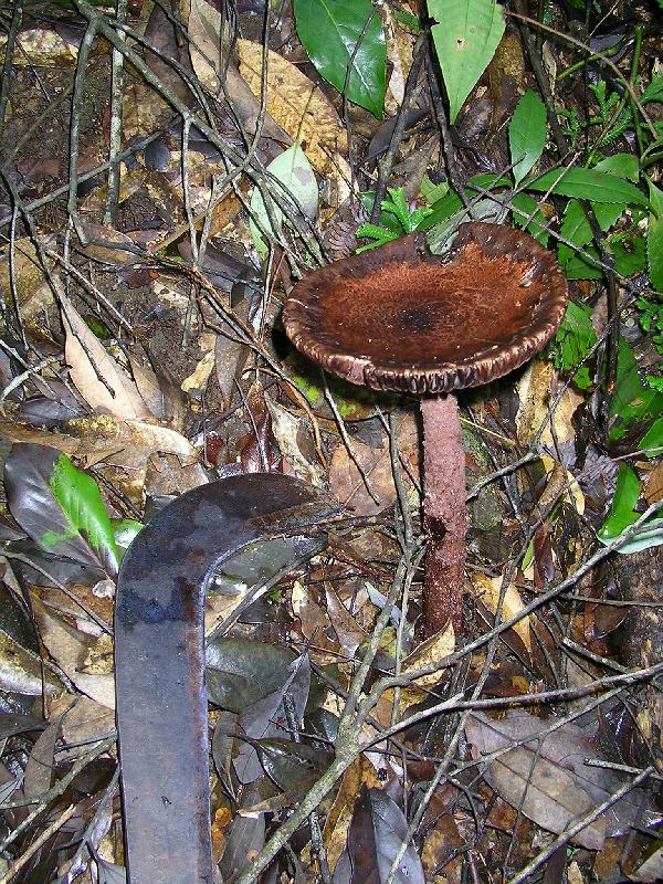 SANYO DIGITAL CAMERA