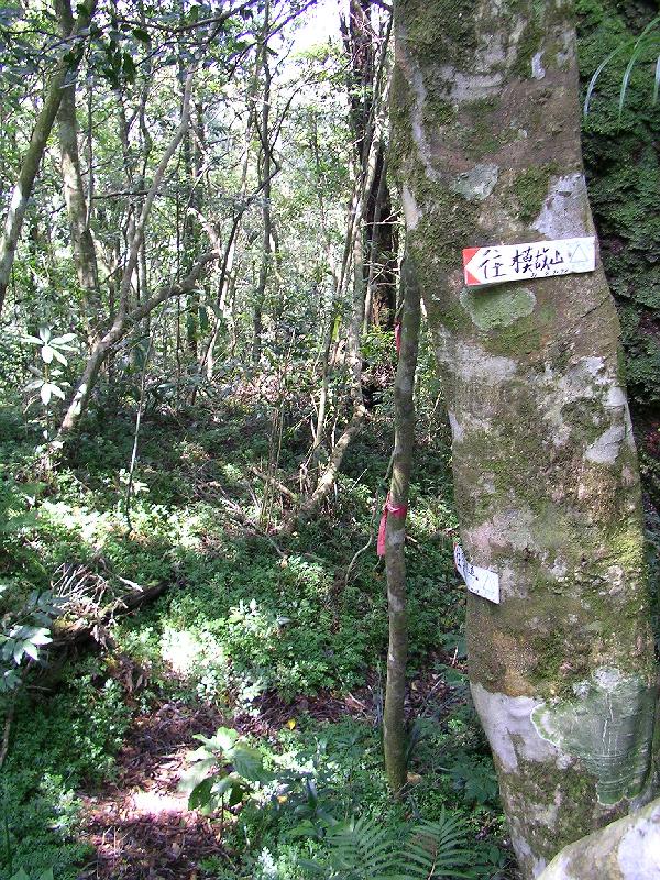 SANYO DIGITAL CAMERA