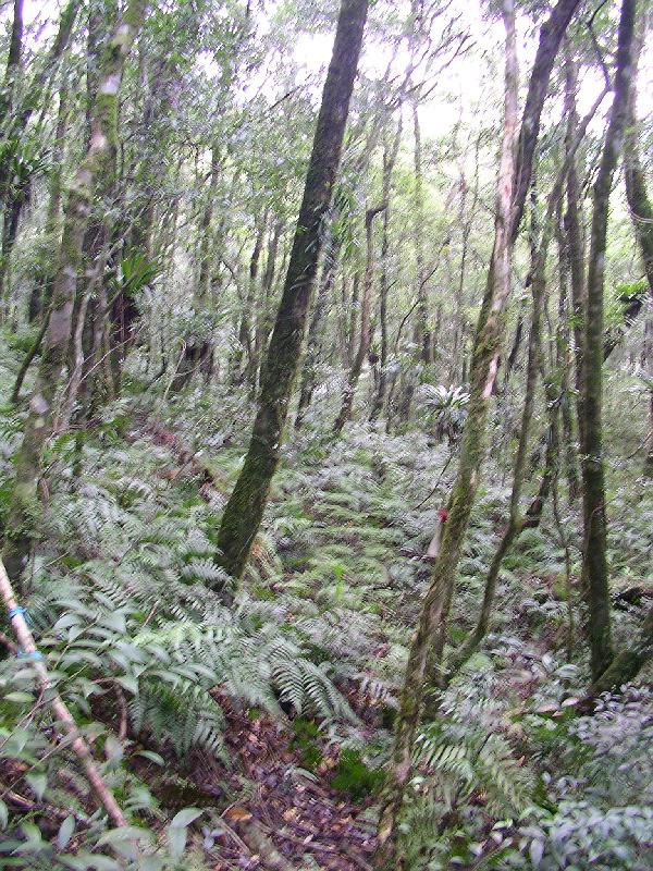 SANYO DIGITAL CAMERA