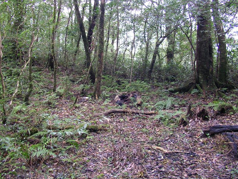 SANYO DIGITAL CAMERA