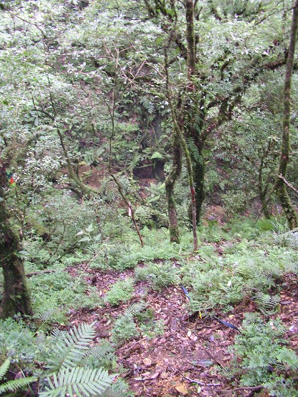 SANYO DIGITAL CAMERA