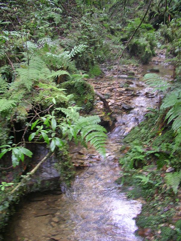 SANYO DIGITAL CAMERA