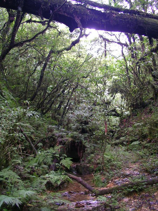 SANYO DIGITAL CAMERA