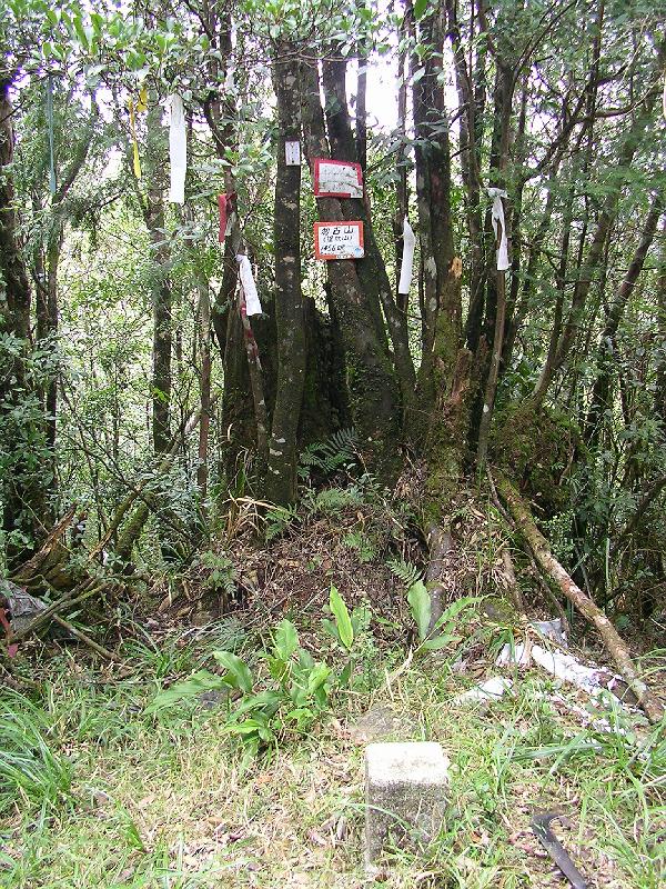 SANYO DIGITAL CAMERA