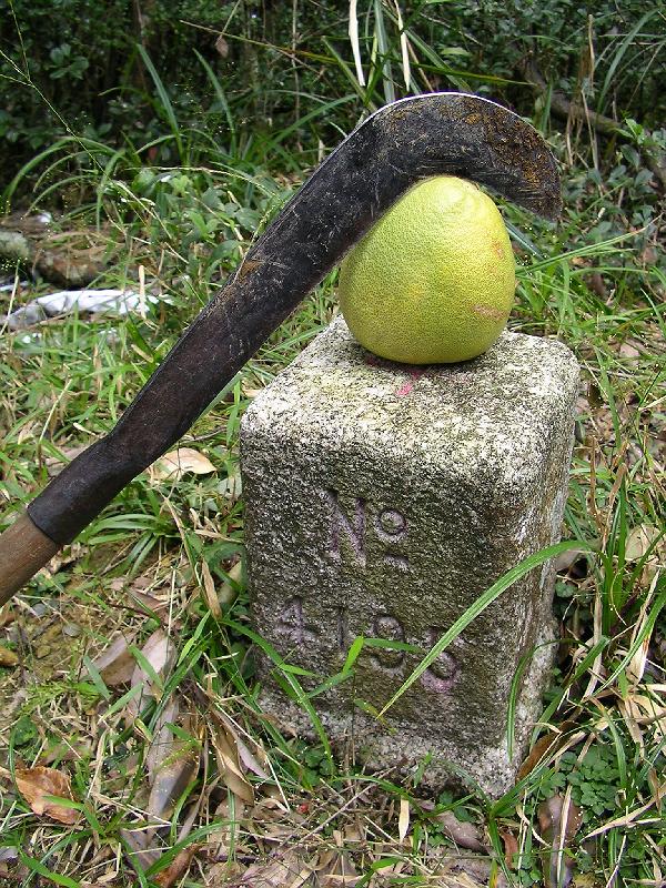 SANYO DIGITAL CAMERA