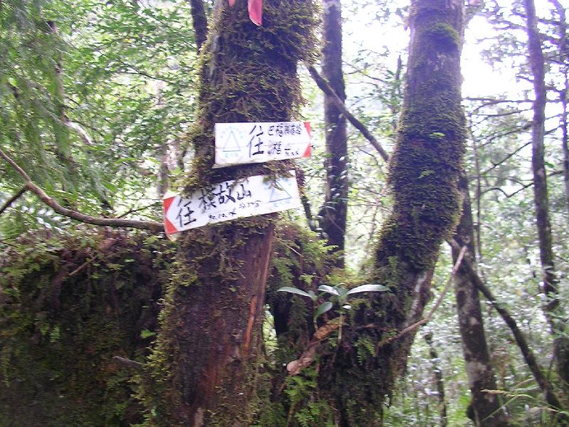 SANYO DIGITAL CAMERA