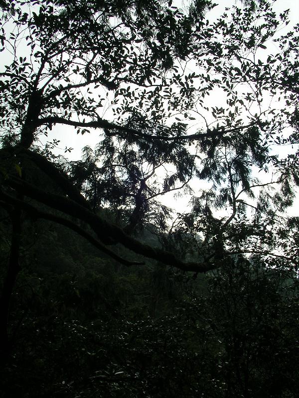 SANYO DIGITAL CAMERA