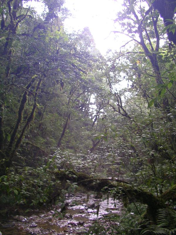 SANYO DIGITAL CAMERA