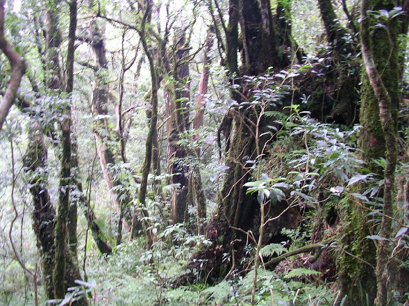 SANYO DIGITAL CAMERA