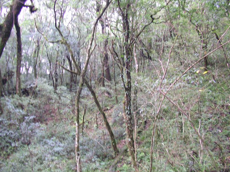 SANYO DIGITAL CAMERA