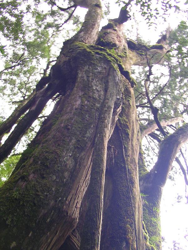 SANYO DIGITAL CAMERA