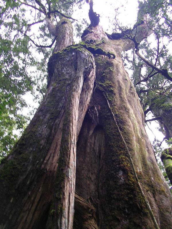 SANYO DIGITAL CAMERA